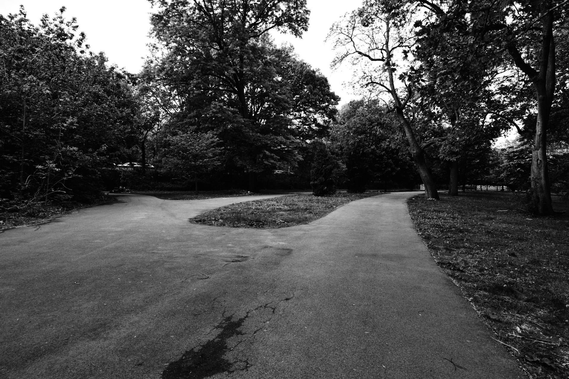 The road ahead